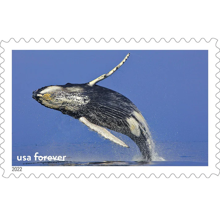 1_ea39970f-cd20-4c02-804b-c6dd3d0209ba 1 ea39970f cd20 4c02 804b c6dd3d0209ba - USPS Forever Stamps