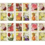 Botanical Art 2016 3 - USPS Forever Stamps 2 22ceb90b 4f05 46b1 828a 56f7c2fe8892 2 - USPS Forever Stamps