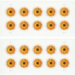 Global African Daisy 2022 3 - USPS Forever Stamps 2 28 587a3d72 1636 4897 9a0e 322e1ef2e1c7 2 - USPS Forever Stamps