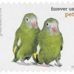 Pets Celebrate Animals 2016 17 - USPS Forever Stamps 2 ad57904d 7bbd 48ec a6b6 15e1da652737 20 - USPS Forever Stamps