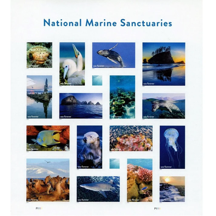 National Marine Sanctuaries 2022 1 - USPS Forever Stamps National Marine Sanctuaries 2022