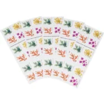 Winter Berries 2019 3 - USPS Forever Stamps 305 1 1 540x e9bdaf0d 6709 4c31 a064 c3d946a416e4 - USPS Forever Stamps