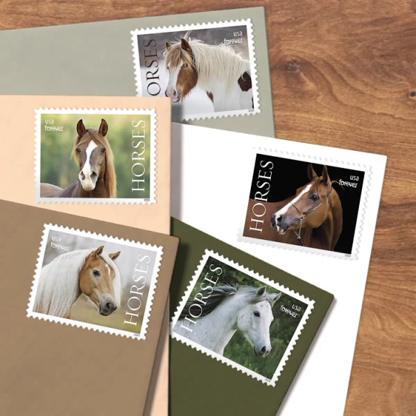 All USPS Stamps 26 - USPS Forever Stamps 485204 Z2 - USPS Forever Stamps