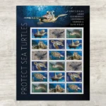 Protect Sea Turtles 2024 2 - USPS Forever Stamps 581304 Z0 - USPS Forever Stamps