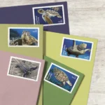 Protect Sea Turtles 2024 3 - USPS Forever Stamps 581304 Z2 - USPS Forever Stamps