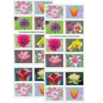 Garden Beauty 2021 3 - USPS Forever Stamps 81NLJuXQg8L. AC SL1500 f02845ff 0950 498e 811c 4c78477926f6 - USPS Forever Stamps