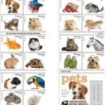 Animal Bundle 6 - USPS Forever Stamps Animal 1 1 - USPS Forever Stamps