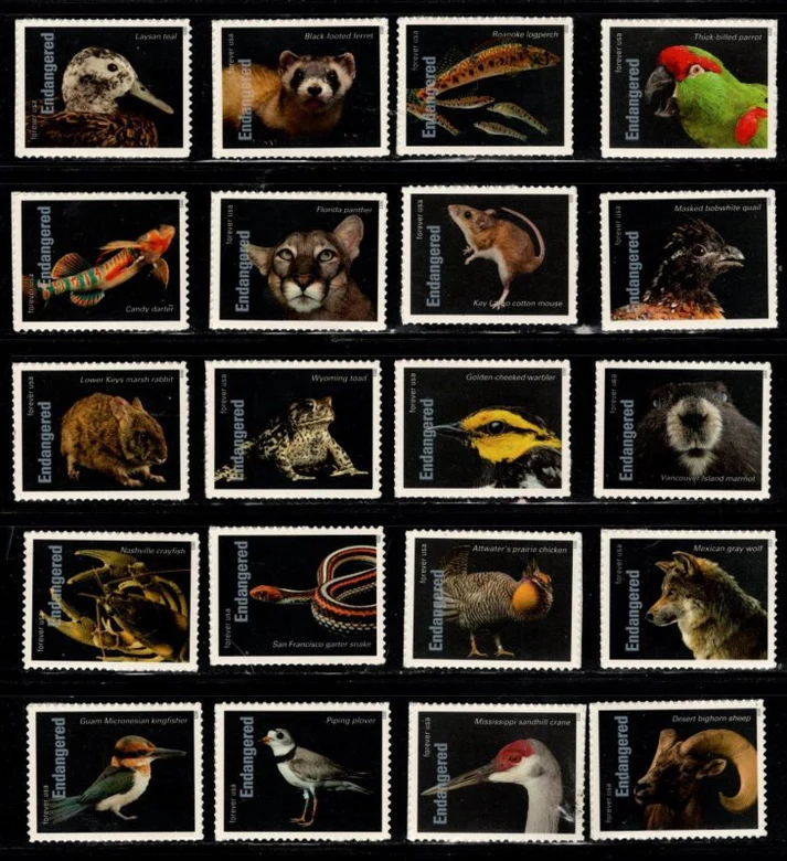 Animal_24_1 Animal 24 1 - USPS Forever Stamps
