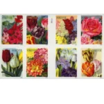 Botanical Art 2016 2 - USPS Forever Stamps Botanical Art 2016 - USPS Forever Stamps