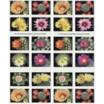Cactus Flowers 2019 3 - USPS Forever Stamps CactusFlowers2019 2 2 - USPS Forever Stamps
