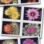 Cactus Flowers 2019 2 - USPS Forever Stamps Cactus Flowers 2019 - USPS Forever Stamps