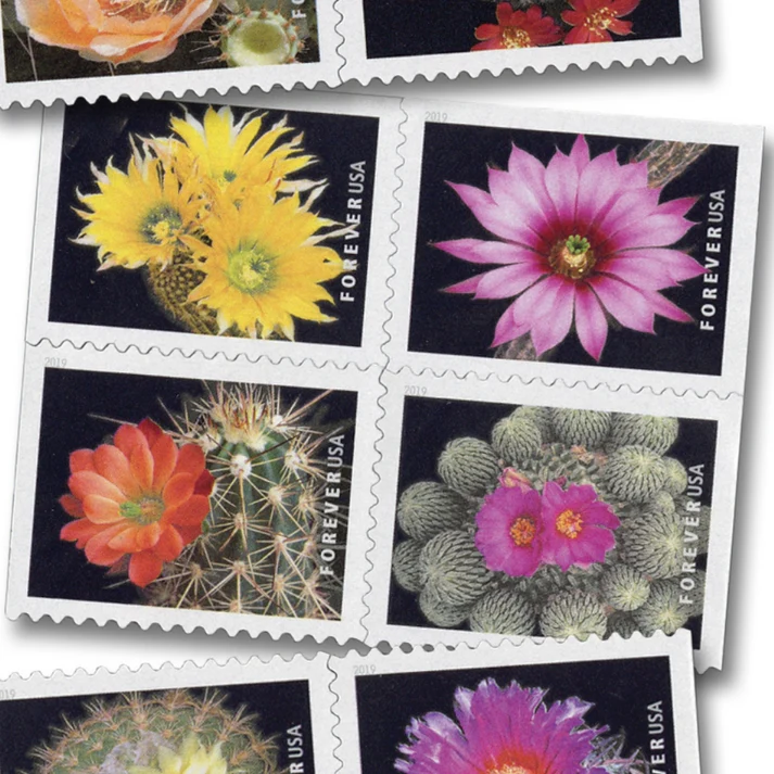 Cactus Flowers 2019 1 - USPS Forever Stamps Cactus Flowers 2019