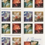 Four Orchids 2020 3 - USPS Forever Stamps FL 29 15 - USPS Forever Stamps
