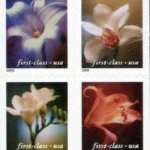Four Orchids 2020 2 - USPS Forever Stamps FL 29 24 - USPS Forever Stamps