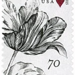 Vintage Orchid 2015 2 - USPS Forever Stamps FL 30 1 - USPS Forever Stamps