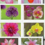 Garden Beauty 2021 2 - USPS Forever Stamps GardenBeauty2021 - USPS Forever Stamps