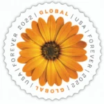 Global African Daisy 2022 2 - USPS Forever Stamps GlobalAfricanDaisy2022 - USPS Forever Stamps