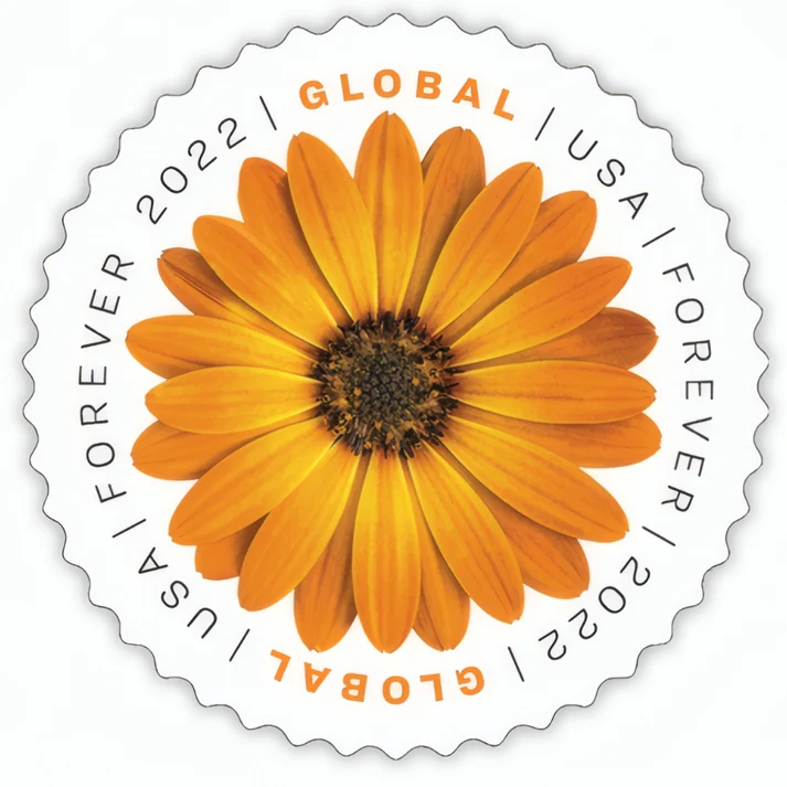 Global African Daisy 2022 1 - USPS Forever Stamps Global African Daisy 2022