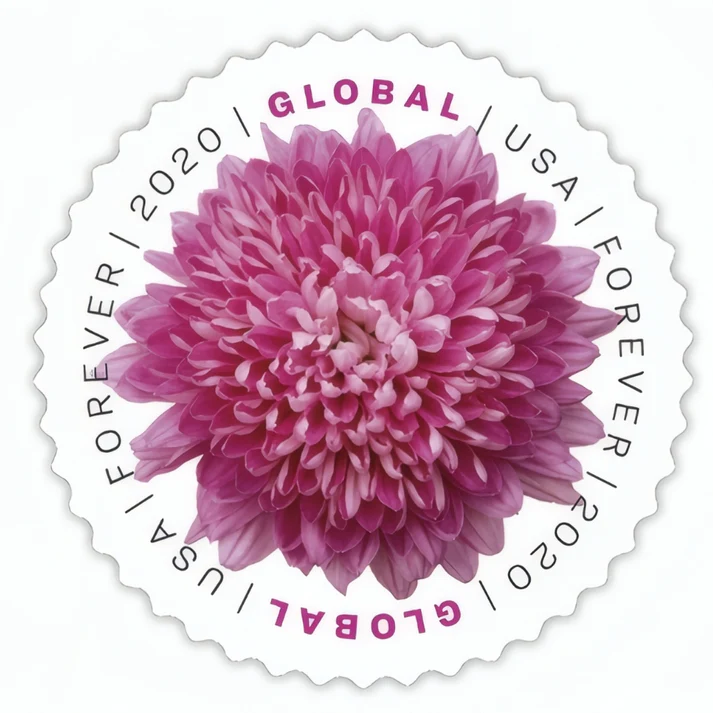Global Chrysanthemum 2020 1 - USPS Forever Stamps Global Chrysanthemum 2020