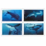 Sharks 2017 2 - USPS Forever Stamps Sharks2017 - USPS Forever Stamps