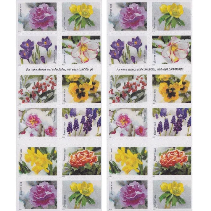 SnowyBeauty20222-_2 SnowyBeauty20222 2 - USPS Forever Stamps