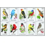 Songbird 2014 2 - USPS Forever Stamps Songbird2014 - USPS Forever Stamps
