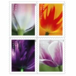 Tulip Blossoms 2023 2 - USPS Forever Stamps TulipBlossoms2023 - USPS Forever Stamps