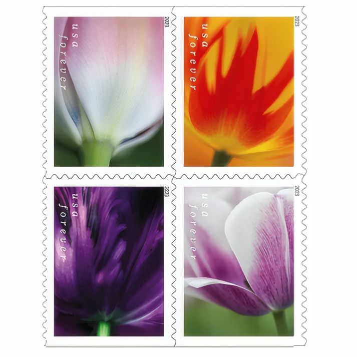Tulip Blossoms 2023 1 - USPS Forever Stamps Tulip Blossoms 2023