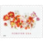 Tulips 2022 2 - USPS Forever Stamps Tulips2022 - USPS Forever Stamps