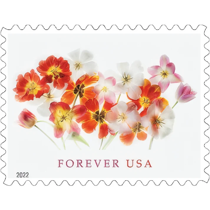 Tulips 2022 1 - USPS Forever Stamps Tulips 2022