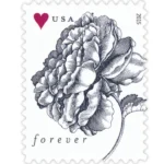 Vintage Rose 2015 2 - USPS Forever Stamps VintageRose2015 - USPS Forever Stamps