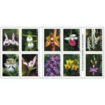 Wild Orchids 2020 2 - USPS Forever Stamps WildOrchids2020 - USPS Forever Stamps