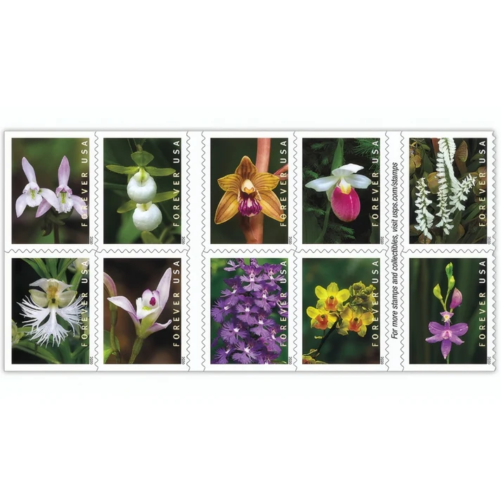 Wild Orchids 2020 1 - USPS Forever Stamps Wild Orchids 2020