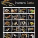 Endangered Species 2023 2 - USPS Forever Stamps endangered species - USPS Forever Stamps