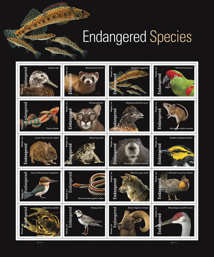Endangered Species 2023 1 - USPS Forever Stamps Endangered Species 2023