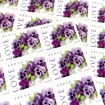 Purple Orchid 2010 6 - USPS Forever Stamps il nxN.5891224155 cknn - USPS Forever Stamps