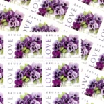 Purple Orchid 2010 5 - USPS Forever Stamps il nxN.5891224319 8u7s - USPS Forever Stamps