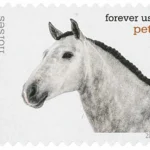 Pets Celebrate Animals 2016 16 - USPS Forever Stamps image 1 19 - USPS Forever Stamps