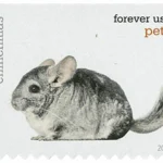 Pets Celebrate Animals 2016 7 - USPS Forever Stamps image 10 10 - USPS Forever Stamps