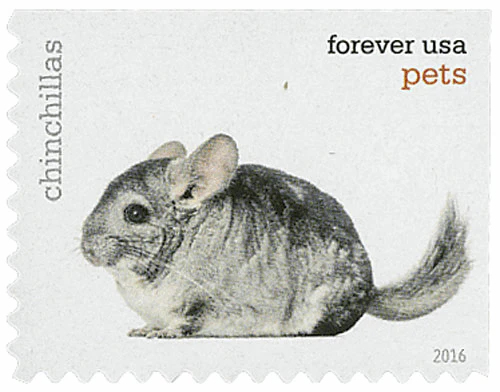 image-10-_10 image 10 10 - USPS Forever Stamps