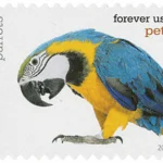Pets Celebrate Animals 2016 6 - USPS Forever Stamps image 11 9 - USPS Forever Stamps