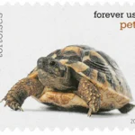 Pets Celebrate Animals 2016 5 - USPS Forever Stamps image 12 8 - USPS Forever Stamps