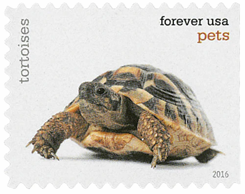 image-12-_8 image 12 8 - USPS Forever Stamps