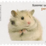 Pets Celebrate Animals 2016 3 - USPS Forever Stamps image 14 6 - USPS Forever Stamps