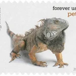 Pets Celebrate Animals 2016 21 - USPS Forever Stamps image 15 5 - USPS Forever Stamps