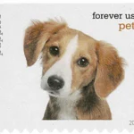 Pets Celebrate Animals 2016 18 - USPS Forever Stamps image 16 2 - USPS Forever Stamps