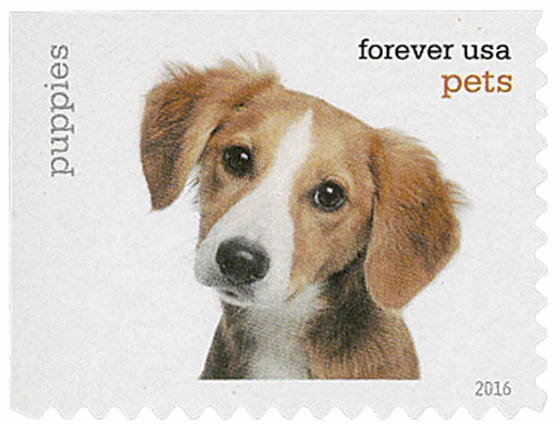 image-16-_2 image 16 2 - USPS Forever Stamps