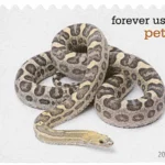 Pets Celebrate Animals 2016 20 - USPS Forever Stamps image 17 4 - USPS Forever Stamps
