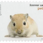 Pets Celebrate Animals 2016 14 - USPS Forever Stamps image 3 17 - USPS Forever Stamps