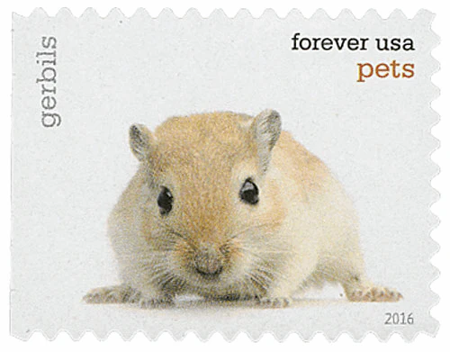 image-3-_17 image 3 17 - USPS Forever Stamps